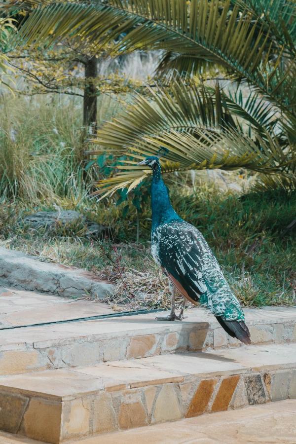 Saab Royale Resort Kajiado Dış mekan fotoğraf